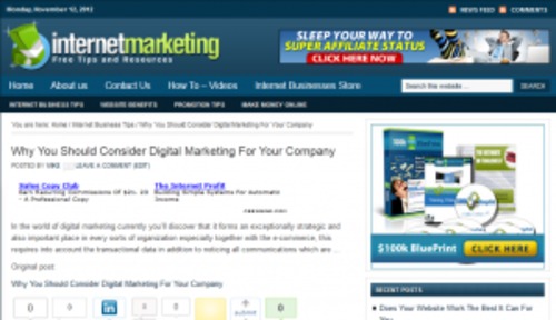 Product picture Wordpress Internet Marketing Niche Blog